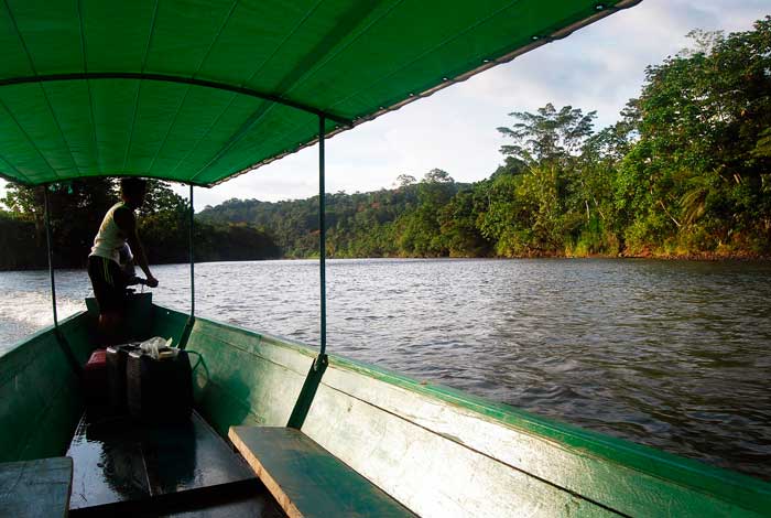 Tambopata Reserve Amazon Tour 4D/3N – photo 1