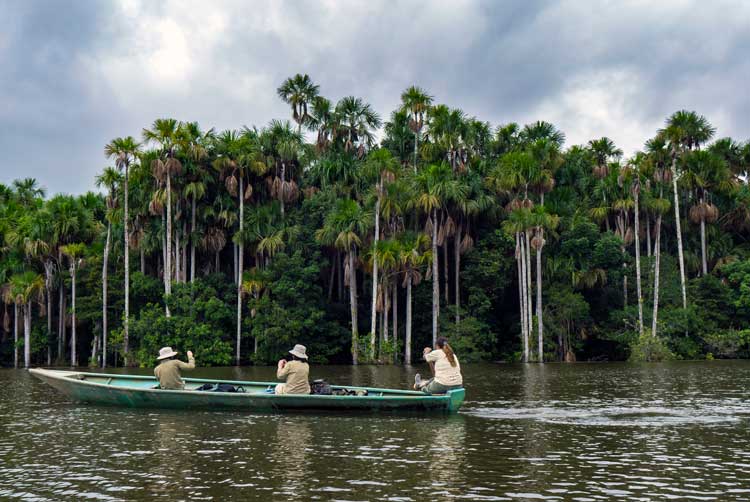Tambopata Jungle / Sandoval