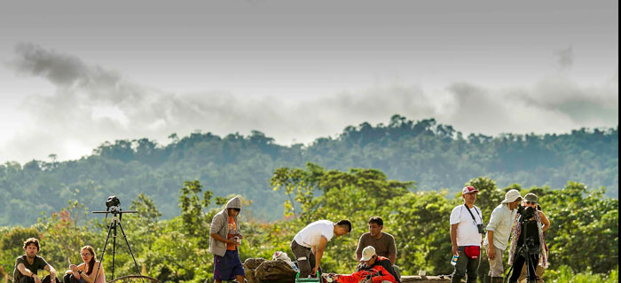 Expedition in Manu Nacional Park, Manu National Park Tour