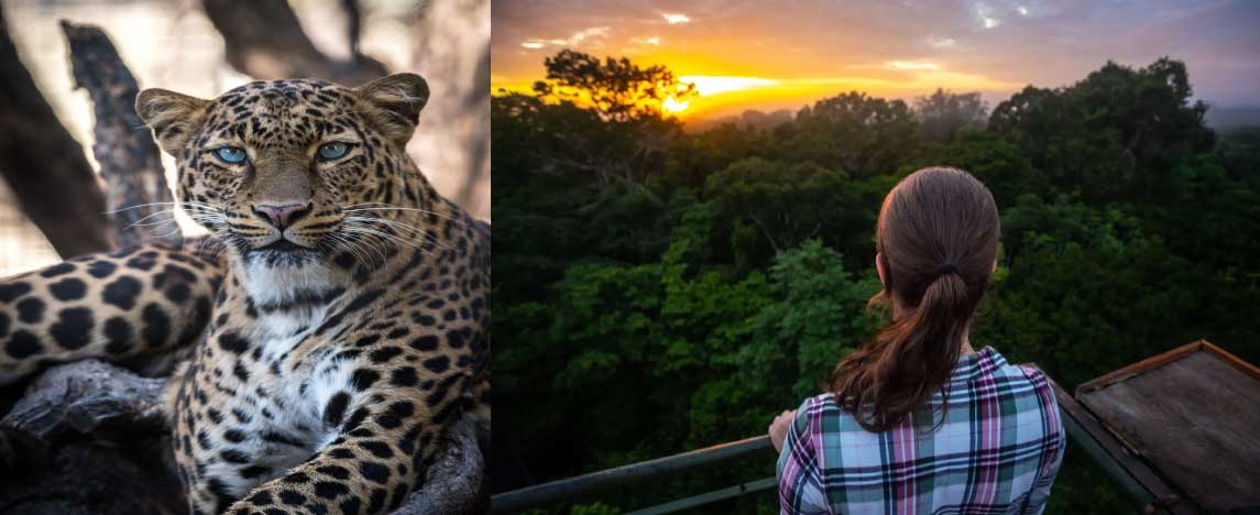 Manu FAQ: 15 Essential Questions Answered for an Unforgettable Manu Trip