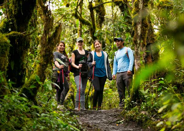 4-day Jungle Trek to Machu Picchu