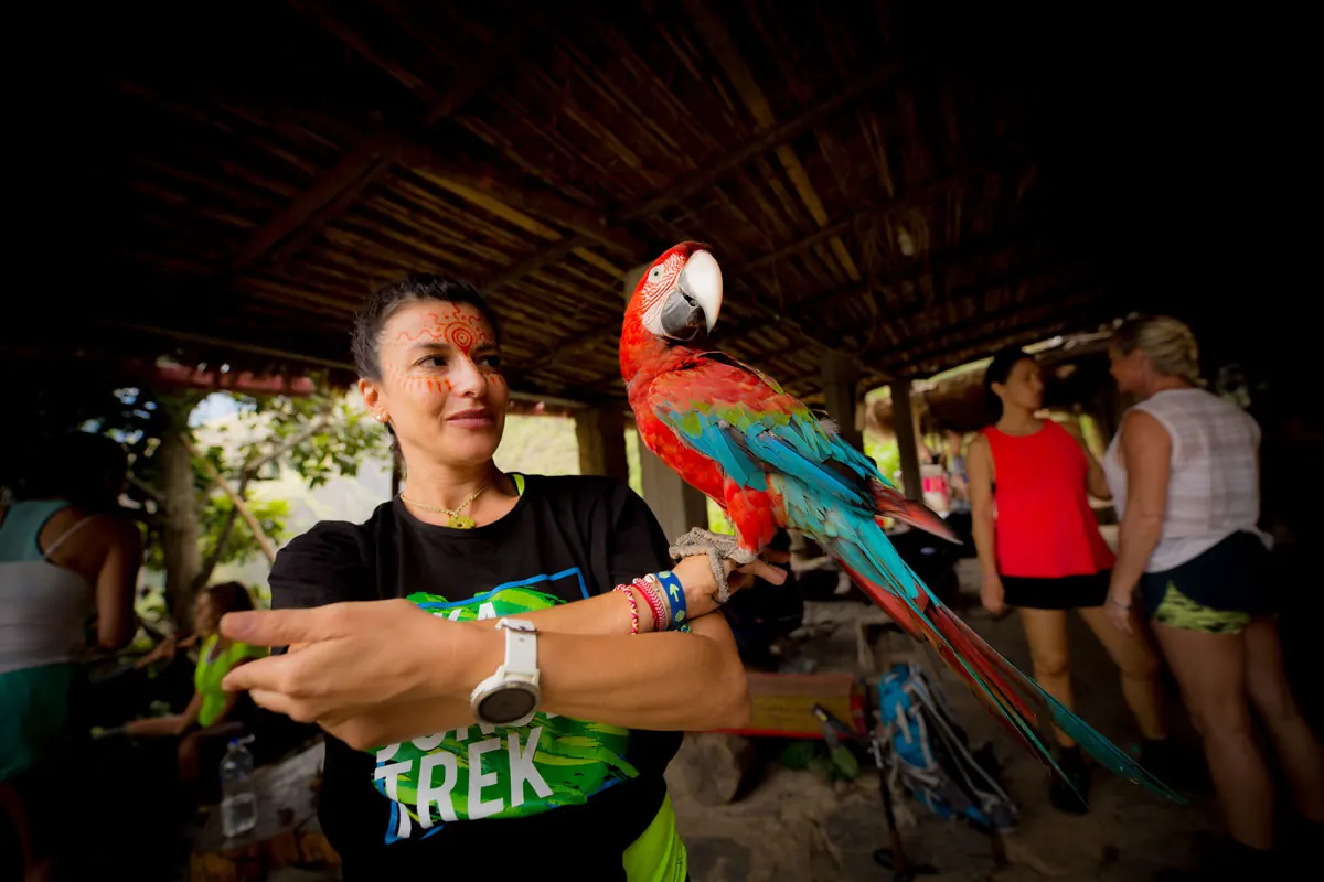 Traveler with a macaw on her arm at a farm stop
