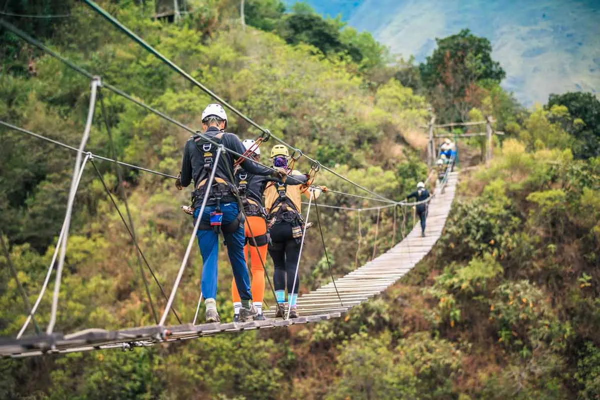 Travelers crossing a suspension bridge in the forest