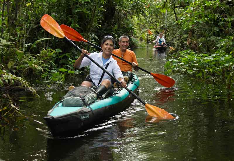 Jungle & Amazon